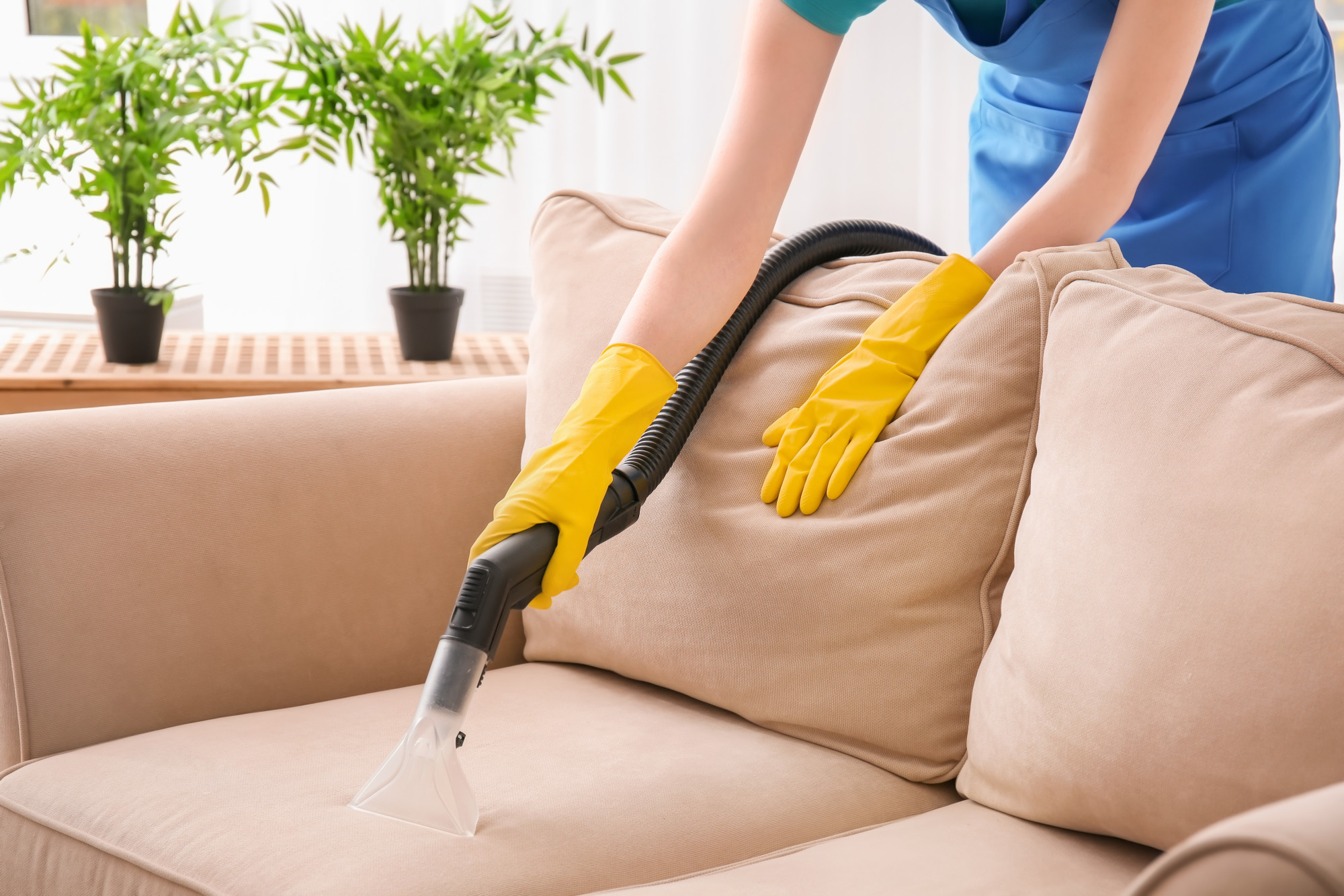 Clean A Sweaty Sofa